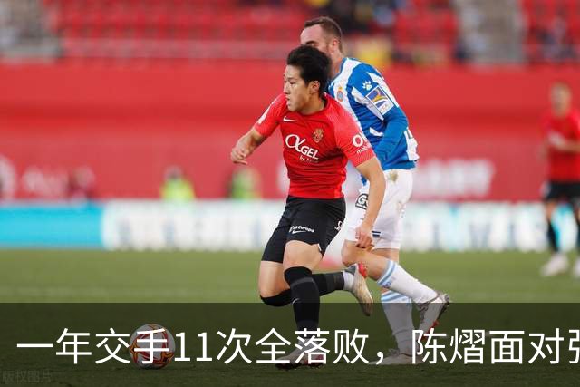 一年交手11次全落败，陈熠面对张本美和，一道不知如何跨过的关卡