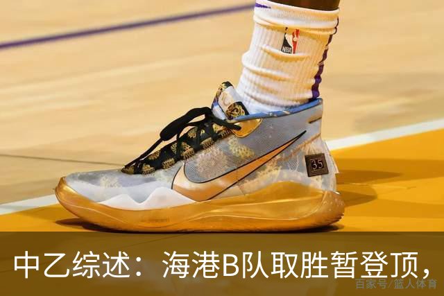 中乙综述：海港B队取胜暂登顶，贵阳竞技丢榜首赛更达深陷降级区