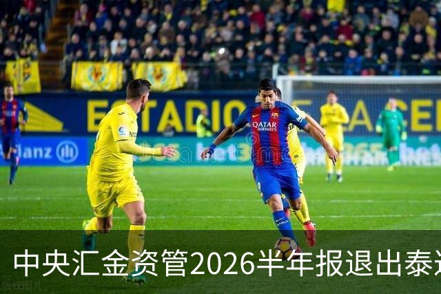 中央汇金资管2026半年报退出泰达股份前十大股东名单