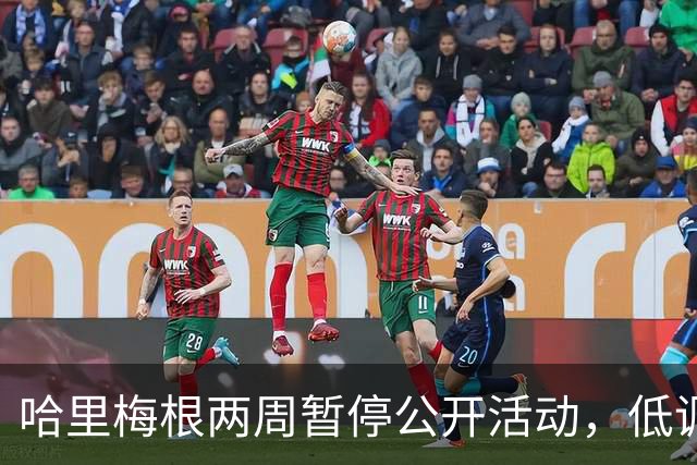 哈里梅根两周暂停公开活动，低调避风头，不抢查尔斯国王风头