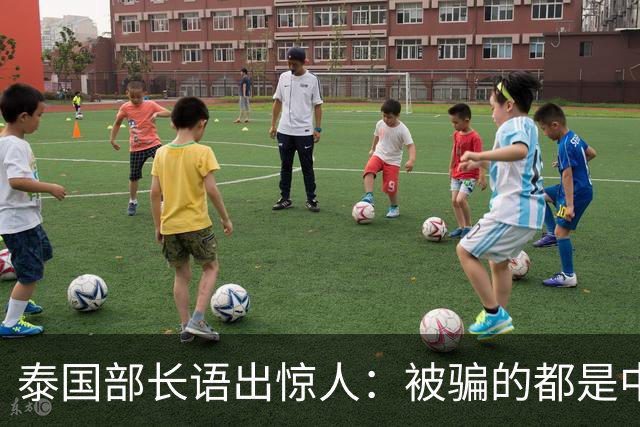 泰国部长语出惊人：被骗的都是中国人，是因为受害者自己贪心？