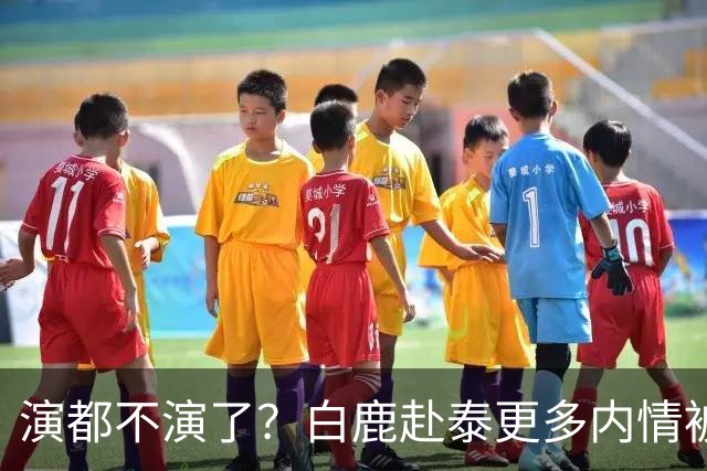 演都不演了？白鹿赴泰更多内情被扒，众星被连带，难怪不取消活动