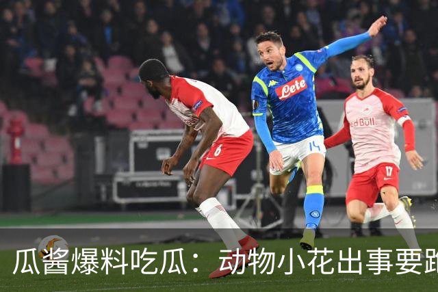 瓜酱爆料吃瓜：动物小花出事要跑路？