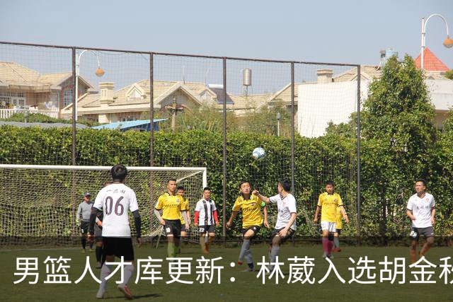 男篮人才库更新：林葳入选胡金秋付豪位置变更