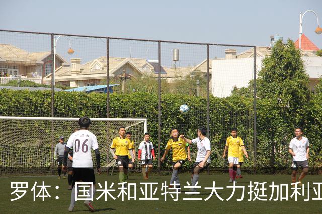 罗体：国米和亚特兰大力挺加利亚尼竞选足协主席