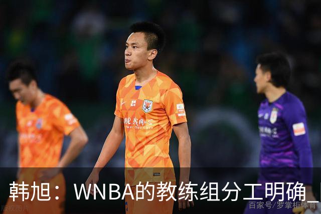 韩旭：WNBA的教练组分工明确 国内基本就是一个主教练+两个助教
